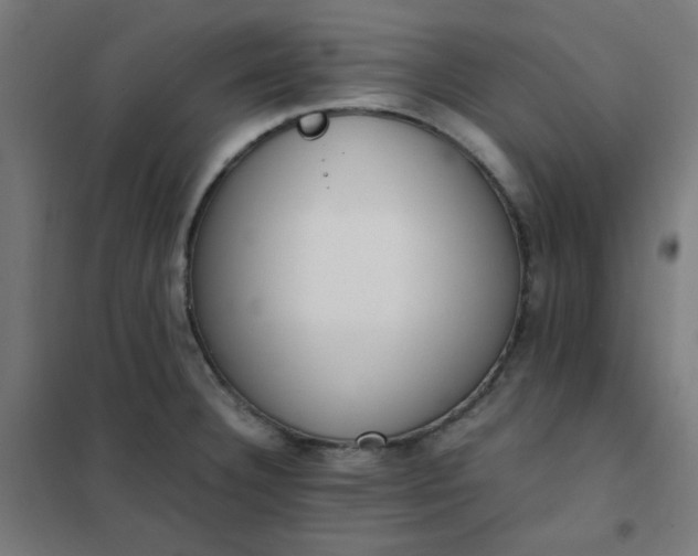 X0000101681332200807241336