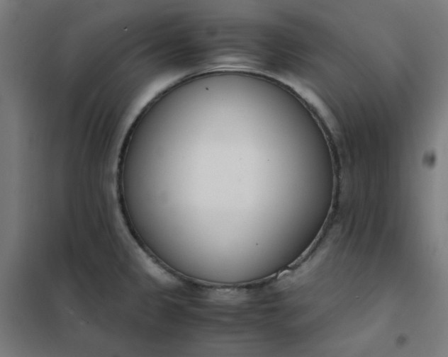 X0000101681333200807241336