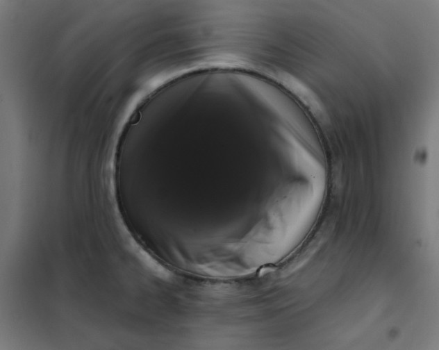 X0000101681334200807241336