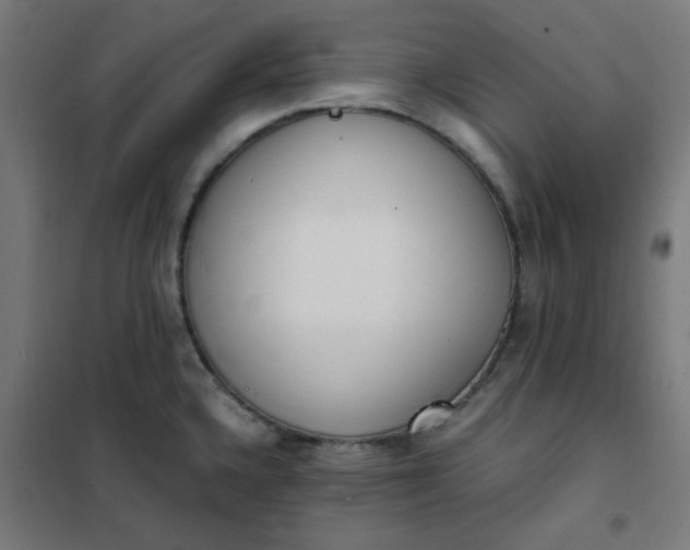 X0000101681336200807241337