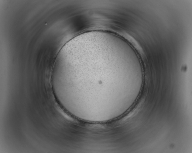 X0000101681337200807241337