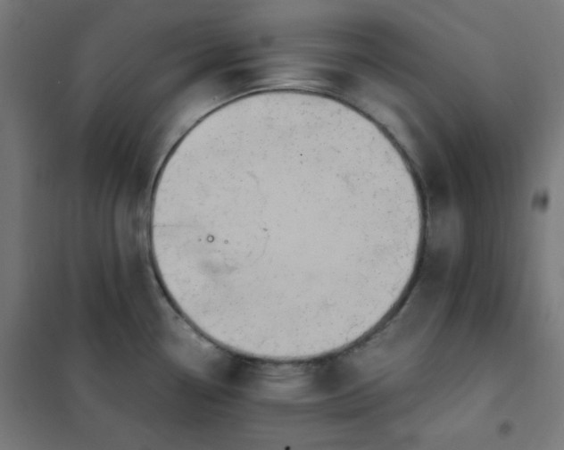 X0000101681338200807241337