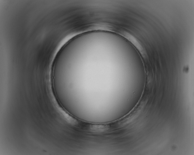 X0000101681339200807241337