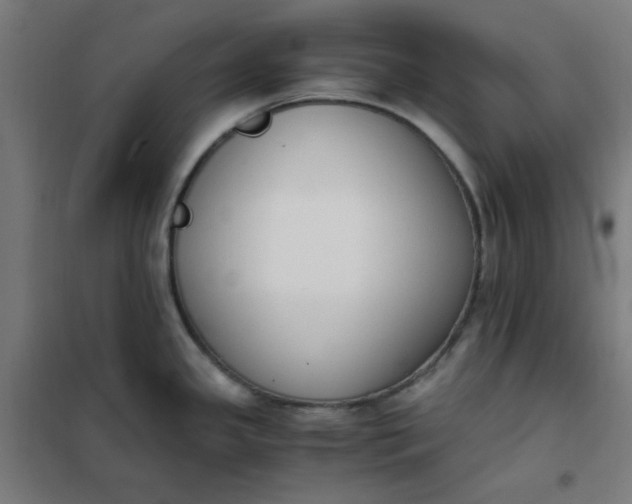 X0000101681341200807241337