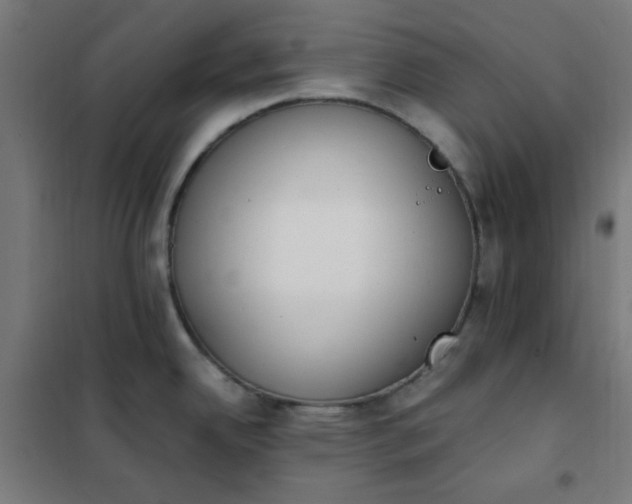 X0000101681342200807241337