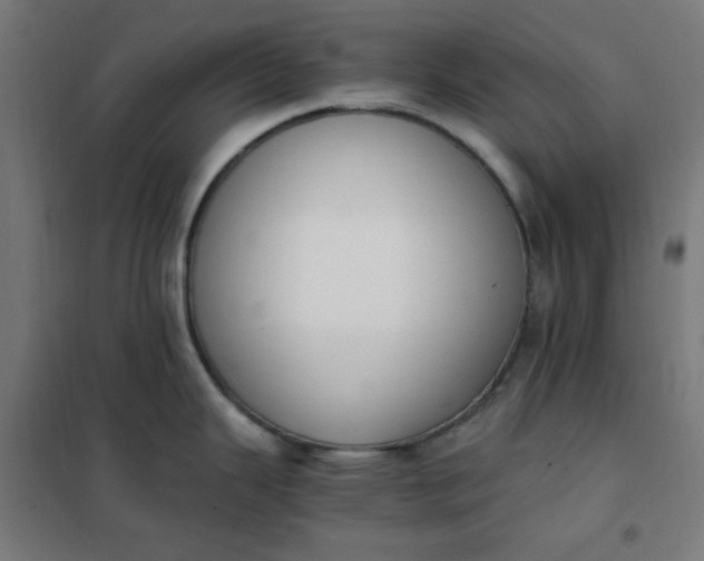 X0000101681343200807241337