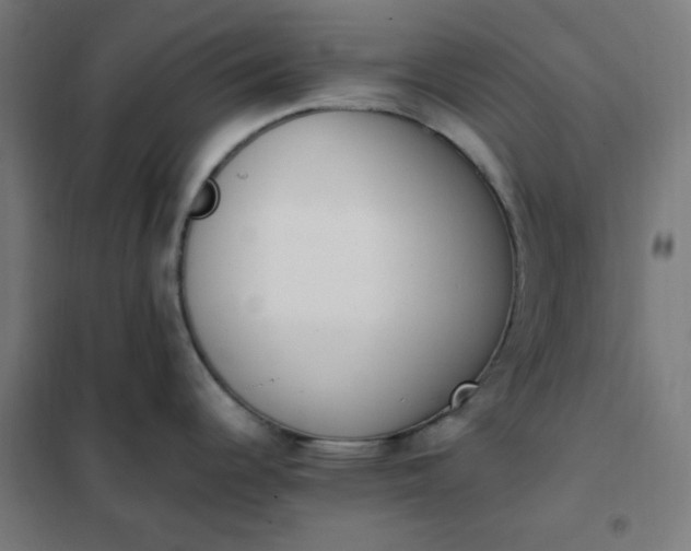 X0000101681344200807241337