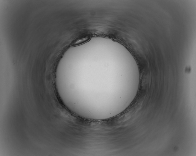 X0000101681345200807241336