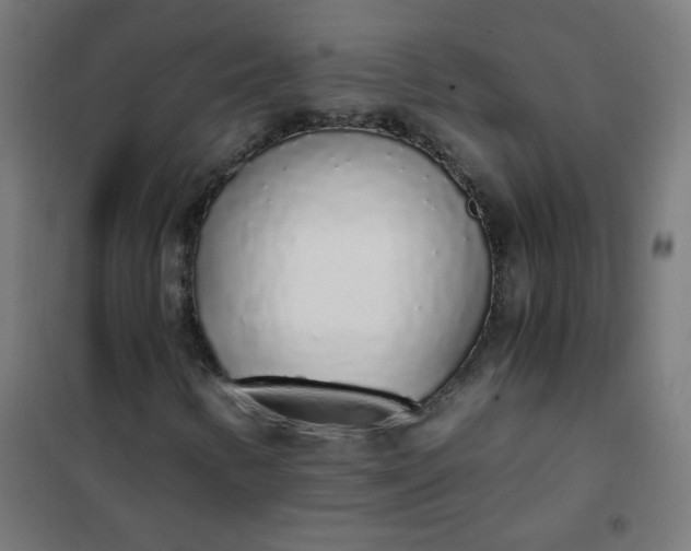 X0000101681346200807241336