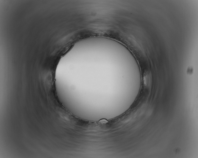 X0000101681347200807241336