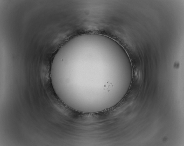 X0000101681348200807241336