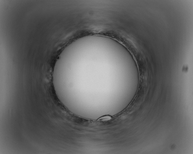 X0000101681349200807241336