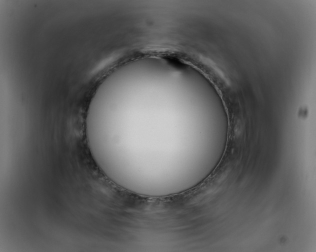 X0000101681350200807241336