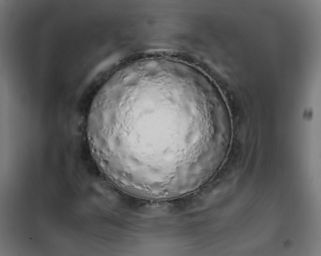 X0000101681351200807241336