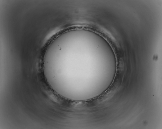 X0000101681352200807241336