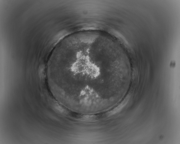 X0000101681353200807241336