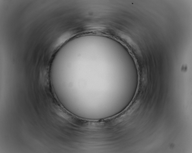 X0000101681354200807241336