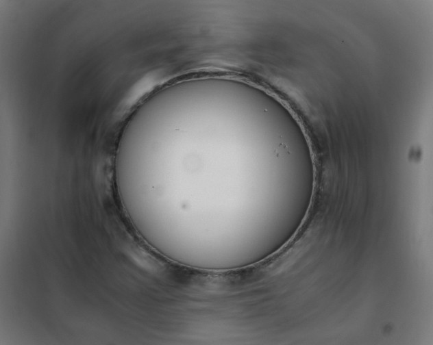 X0000101681355200807241336