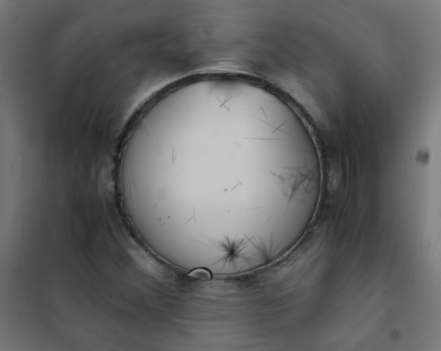 X0000101681356200807241336