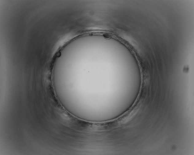 X0000101681357200807241336