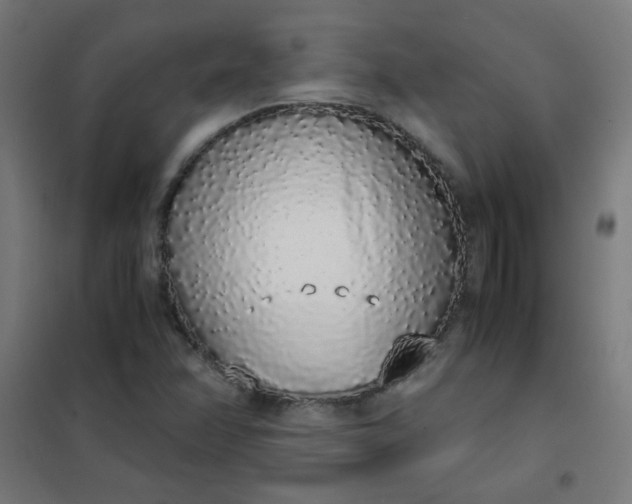 X0000101681358200807241336