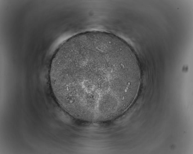 X0000101681359200807241336