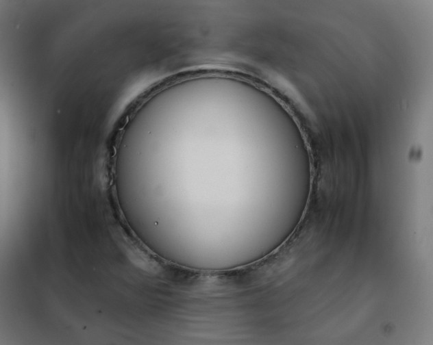 X0000101681360200807241336