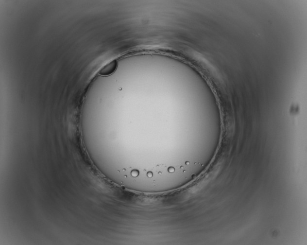 X0000101681361200807241336