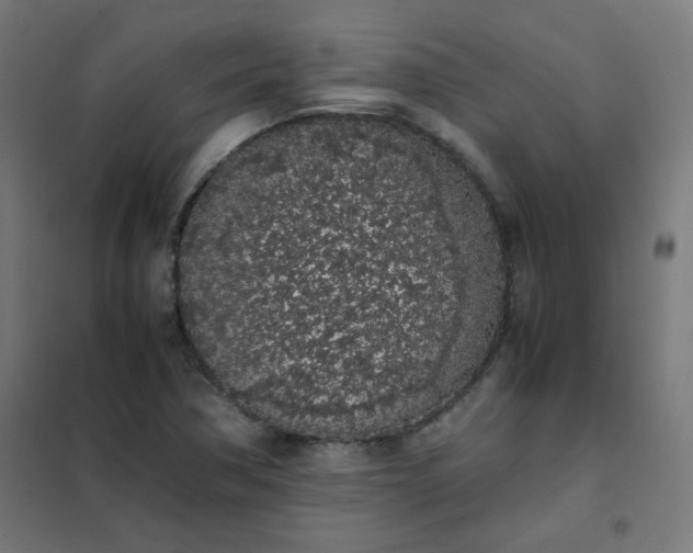 X0000101681362200807241336