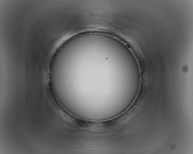 X0000101681363200807241336