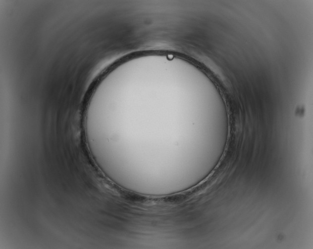 X0000101681364200807241336