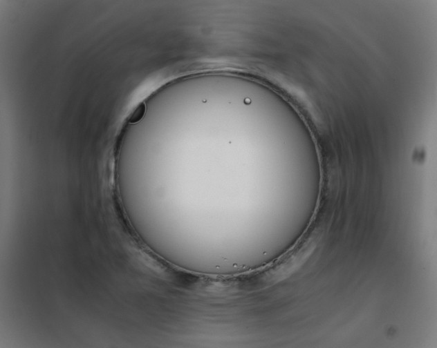 X0000101681365200807241336