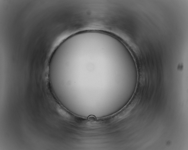 X0000101681366200807241336