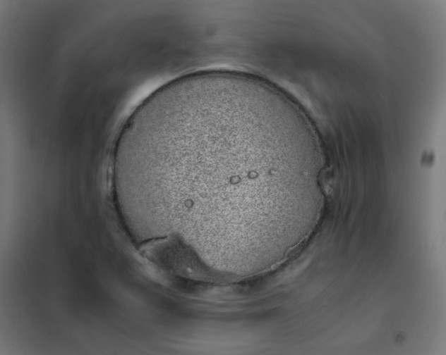 X0000101681367200807241336