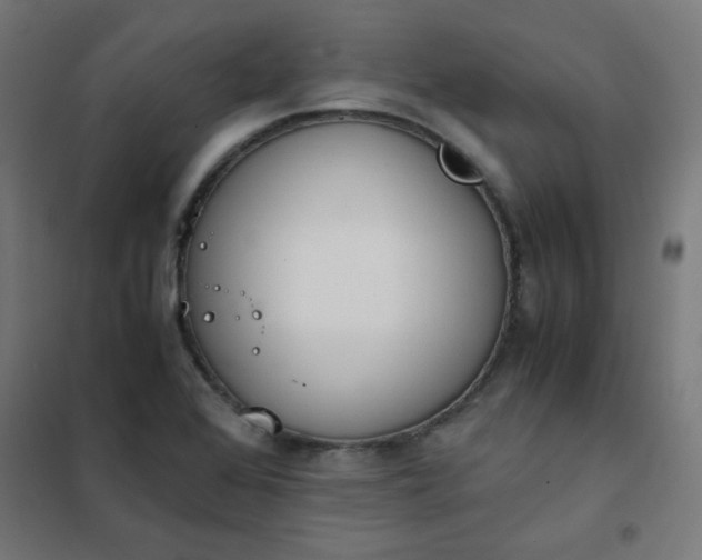 X0000101681368200807241336