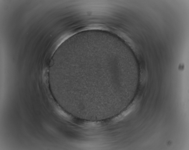 X0000101681369200807241336