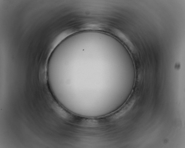 X0000101681370200807241336