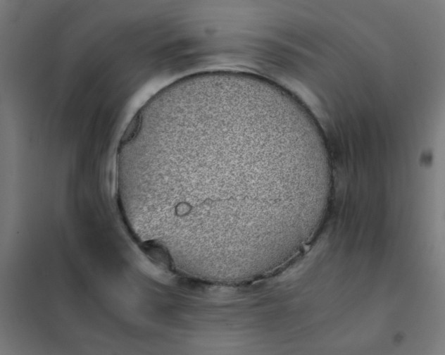 X0000101681371200807241336