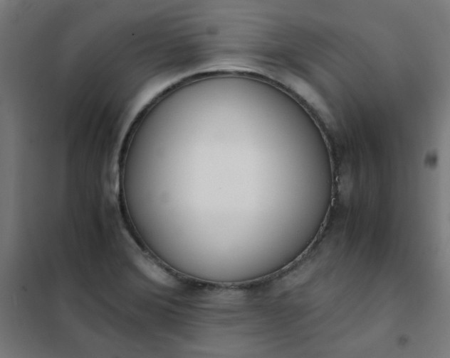 X0000101681372200807241336