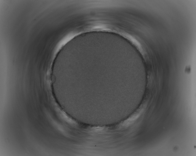 X0000101681373200807241336