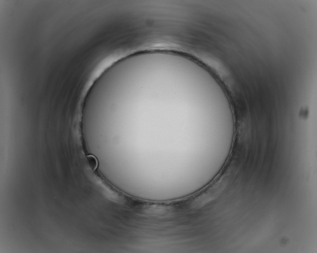 X0000101681374200807241336