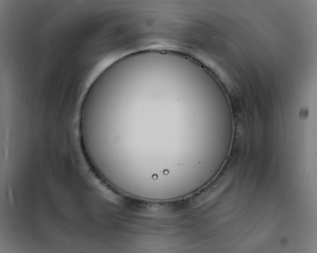 X0000101681375200807241336