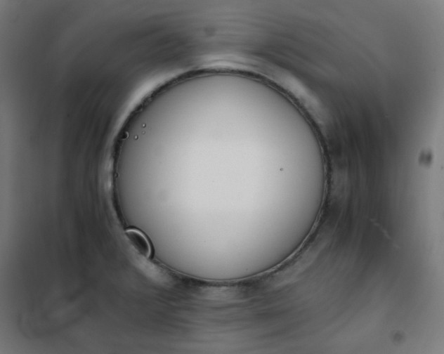 X0000101681376200807241336