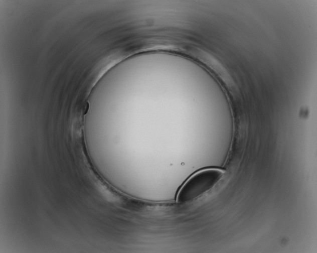 X0000101681377200807241336