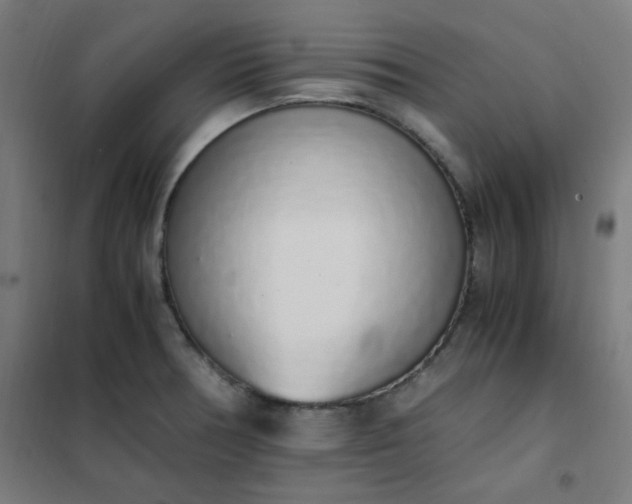 X0000101681378200807241336