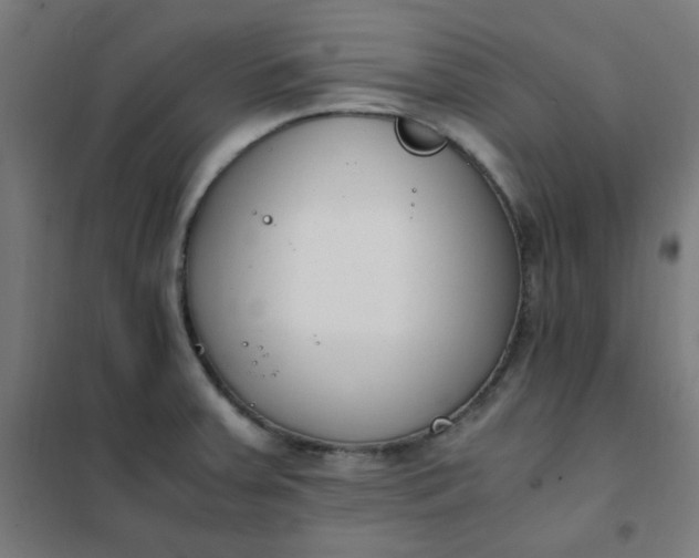 X0000101681379200807241335