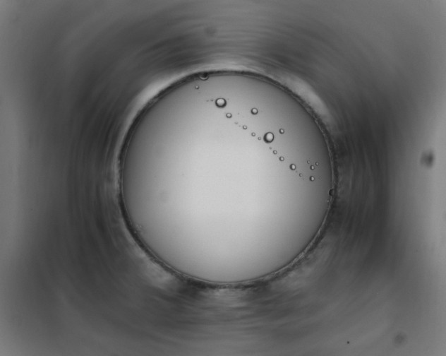 X0000101681380200807241335