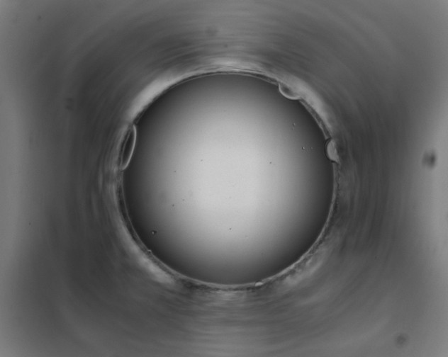 X0000101681381200807241335