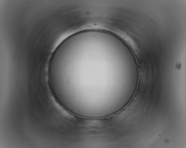 X0000101681382200807241335