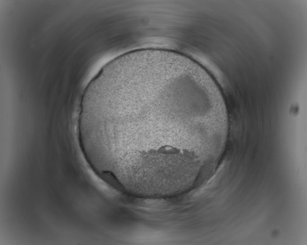 X0000101681383200807241335